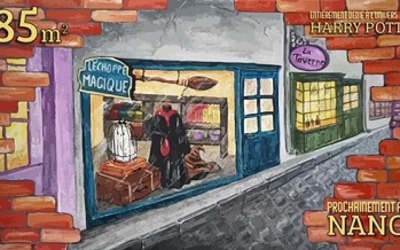 Nancy : l'échoppe magique, une boutique dédiée à 100% à Harry Potter