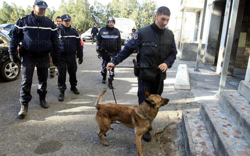 Nord-Mosellan : 5 trafiquants de drogue interpellés