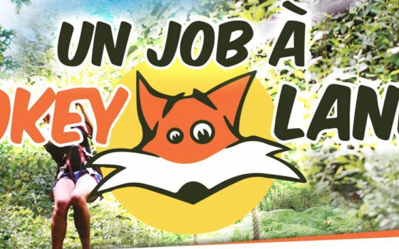 Pokeyland et Walygator recrutent 