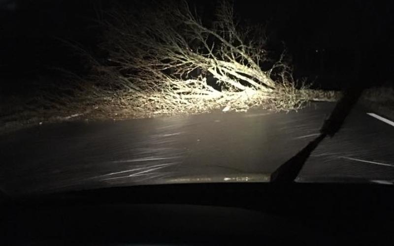 Tempête hivernale : arbres couchés et 9 700 foyers privés d'électricité en Lorraine