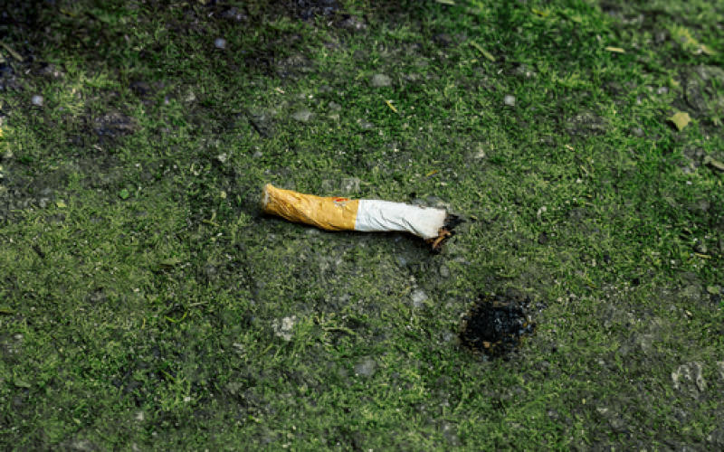 Thionville : opération de nettoyage des rues ce dimanche par les "CleanWalkers"