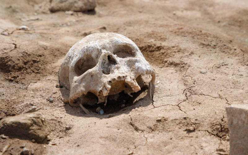 Un crâne retrouvé par un promeneur à Froidcul
