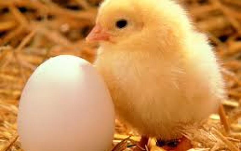 Un job dont personne ne veut