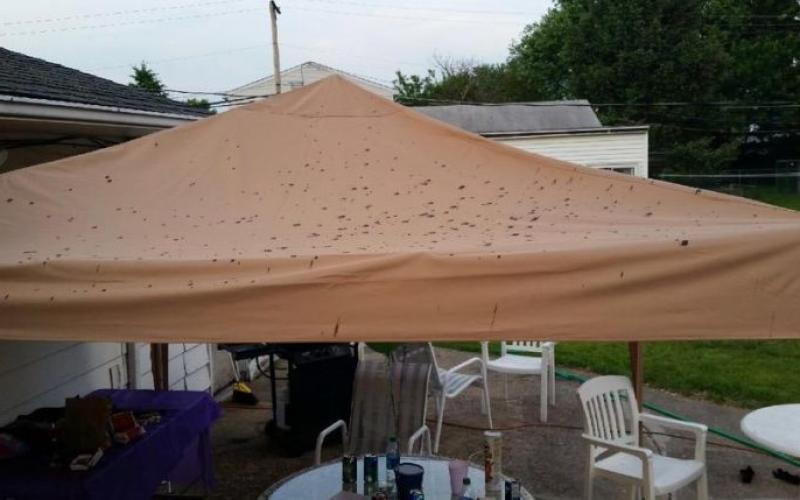 Une fête d'anniversaire gâchée par une "pluie" surprise