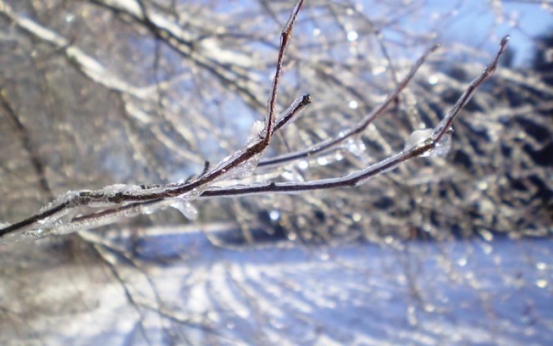 Vague de froid : des températures ressenties allant de -15 à - 20°C  !