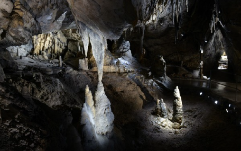 VIDEO  : Le Domaine des Grottes de Han  - tout ce qu’il faut pour s’éclater cet été !
