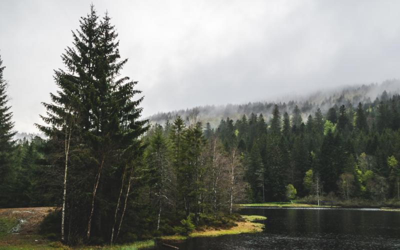 Vosges : Gérardmer et La Bresse se séparent