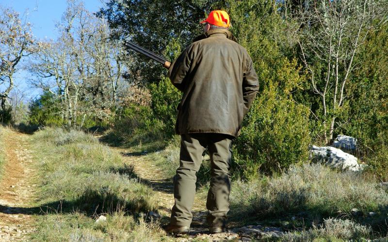 Vosges : un jeune de 22 ans meurt dans un accident de chasse