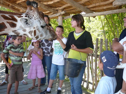 Amnéville : Première pour la "Junior Zoo Academy"