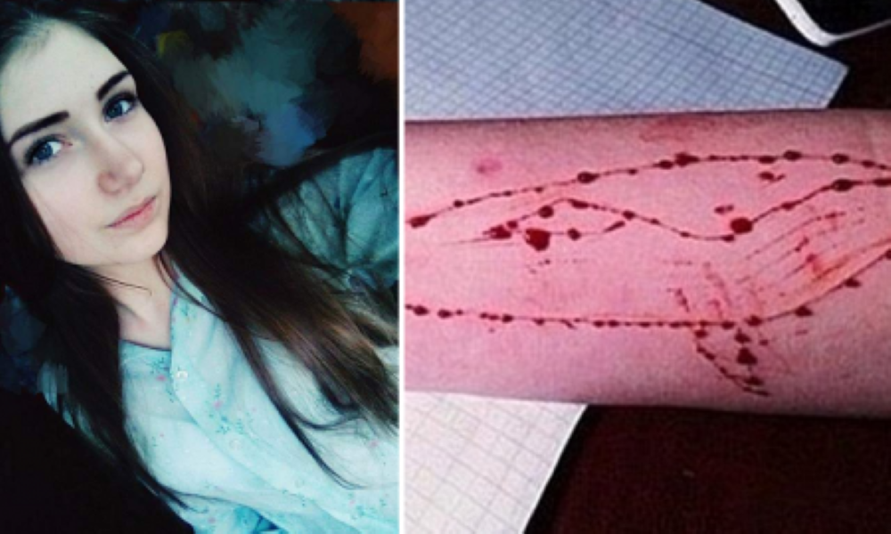 Blue Whale Challenge : l'inquiétant défi Facebook qui pousse les ados au suicide