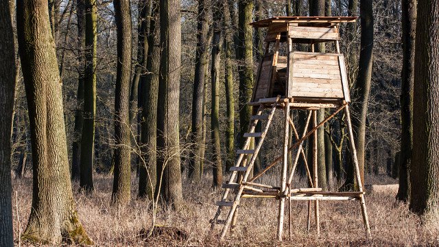Cattenom : un chalet et des miradors de chasseurs dégradés par des anti-spécistes