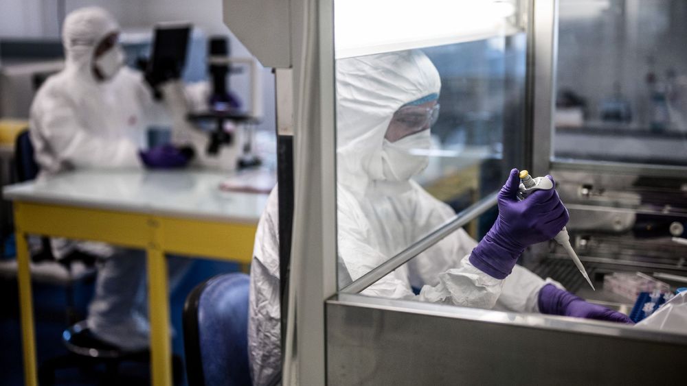 Covid-19 : azithromycine et zinc, un possible traitement ?