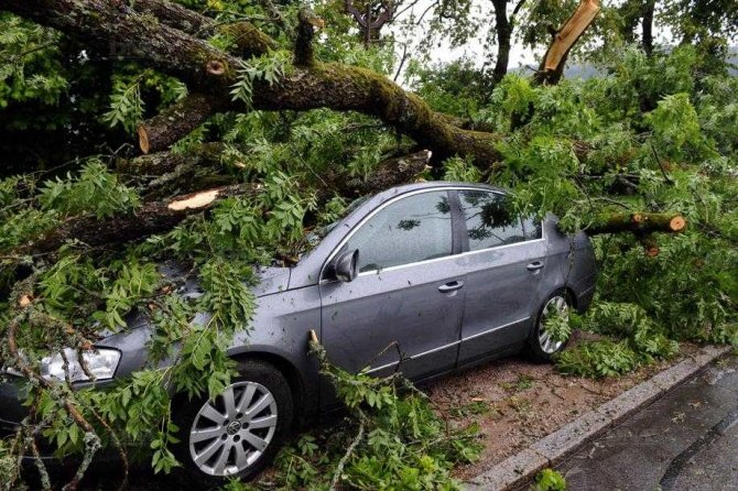 Deux villages vosgiens balayés par une mini-tornade