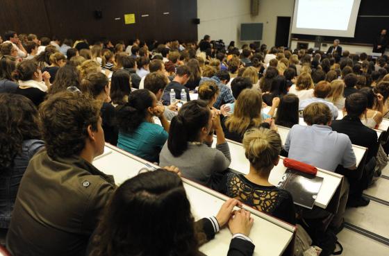 Harcèlement : Des chiffres saisissants à l'université de Lorraine