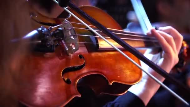 La Région Grand Est a remis des instruments à cordes à 6 jeunes musiciens lorrains