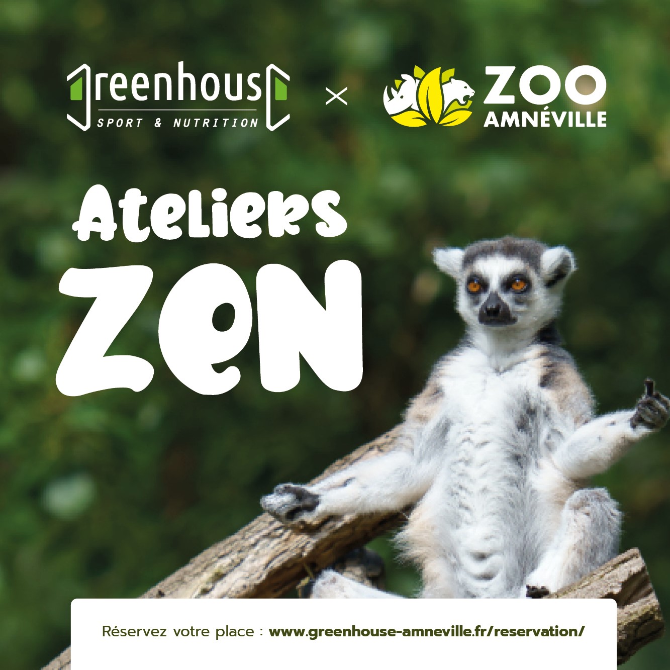La zenitude s'invite au Zoo d'Amnéville !