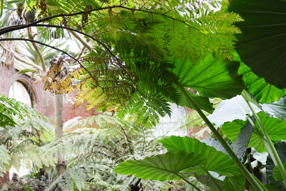 Le jardin botanique de Metz va fêter ses 150 ans
