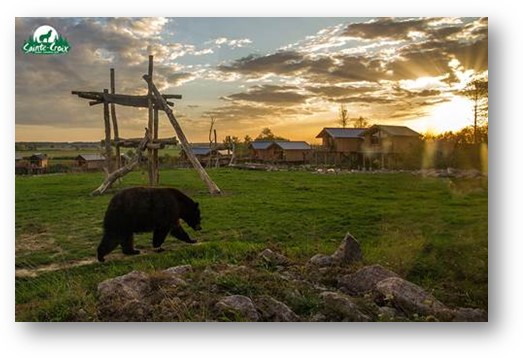 Le Parc de Sainte-Croix, encore élu « Zoo et Parc Animalier » préféré des Français