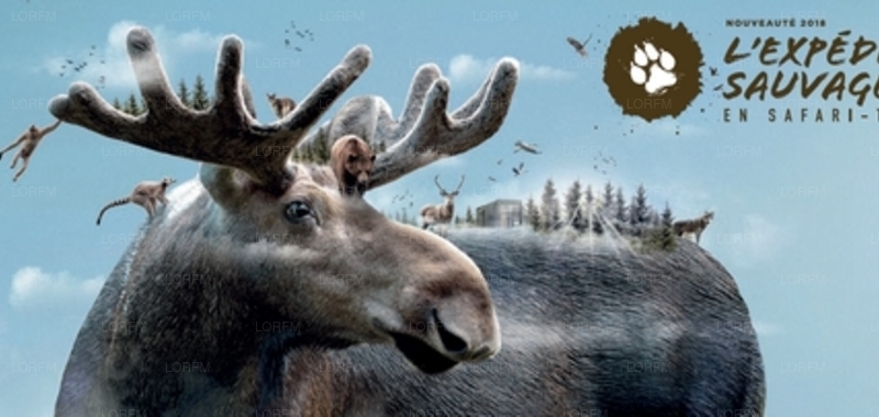 Le Parc de Ste Croix et le Zoo d'Amnéville favoris des internautes !