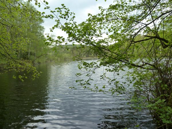 Les carpistes allemands retrouvés morts
