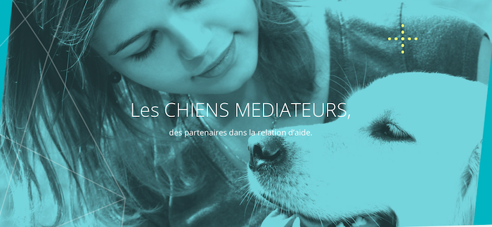 Les chiens médiateurs : aider et rassurer les personnes fragiles, c'est leur mission !