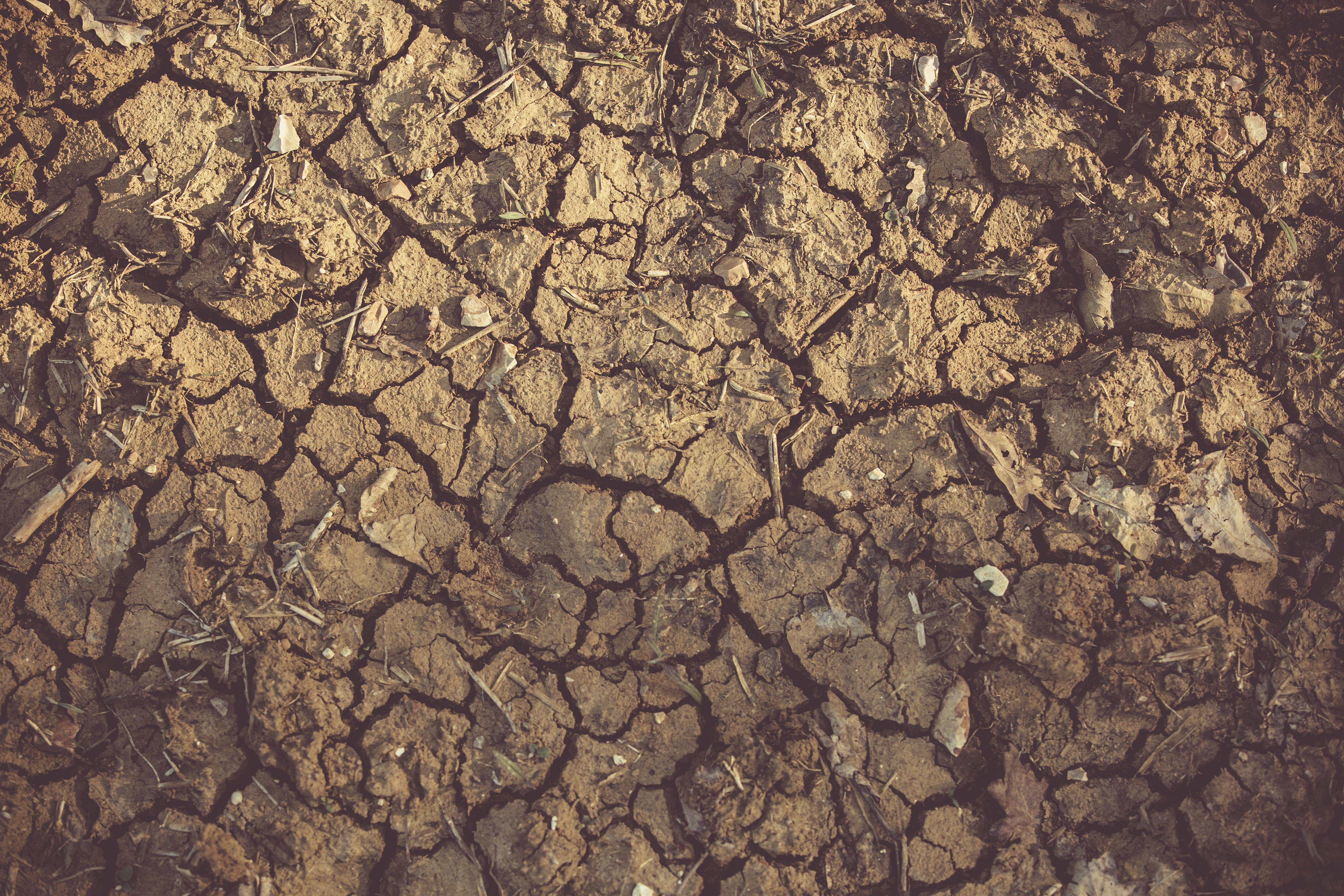 Moselle : Vallerange reconnue en état de catastrophe naturelle