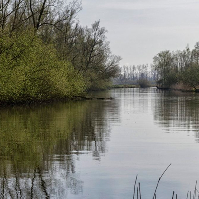 Nancy : un jeune de 25 ans porté disparu, retrouvé dans le canal