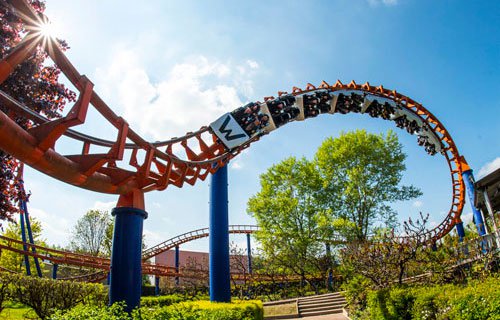 Walygator se veut toujours plus fun !