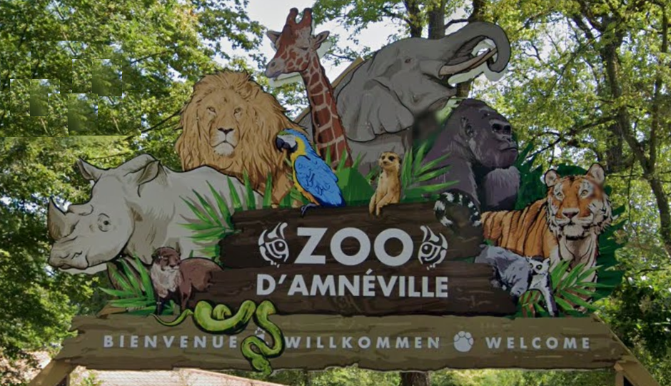 Zoo d'Amnéville : belle hausse de la fréquentation en 2022