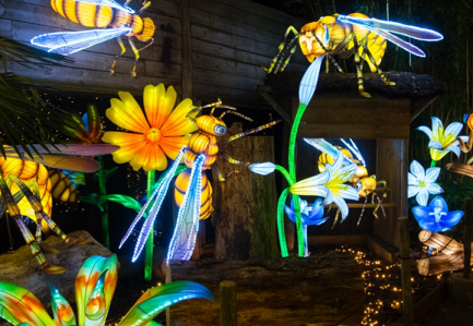 Zoo d'Amnéville : découvrez Luminescences !